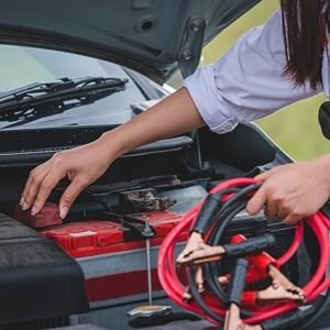 Roadside Emergency Car Kit 30Piece Road Trip Essentials Tool Set with Jumper Cables and Carrying Case for Car Truck or RV by Stalwart